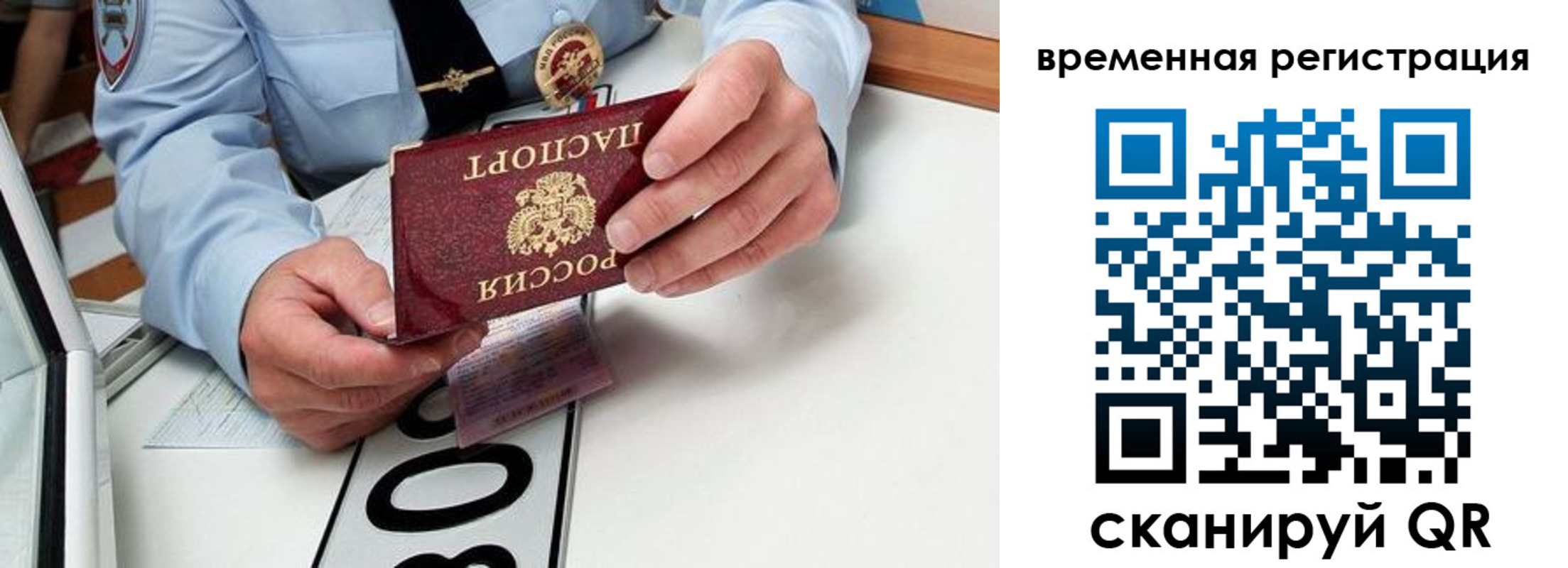 прописка гарантия в Полярных Зорях
